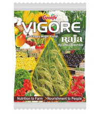Geolife Vigore Raja -  Mycorrhizal Bio Fertilizer 100 grams